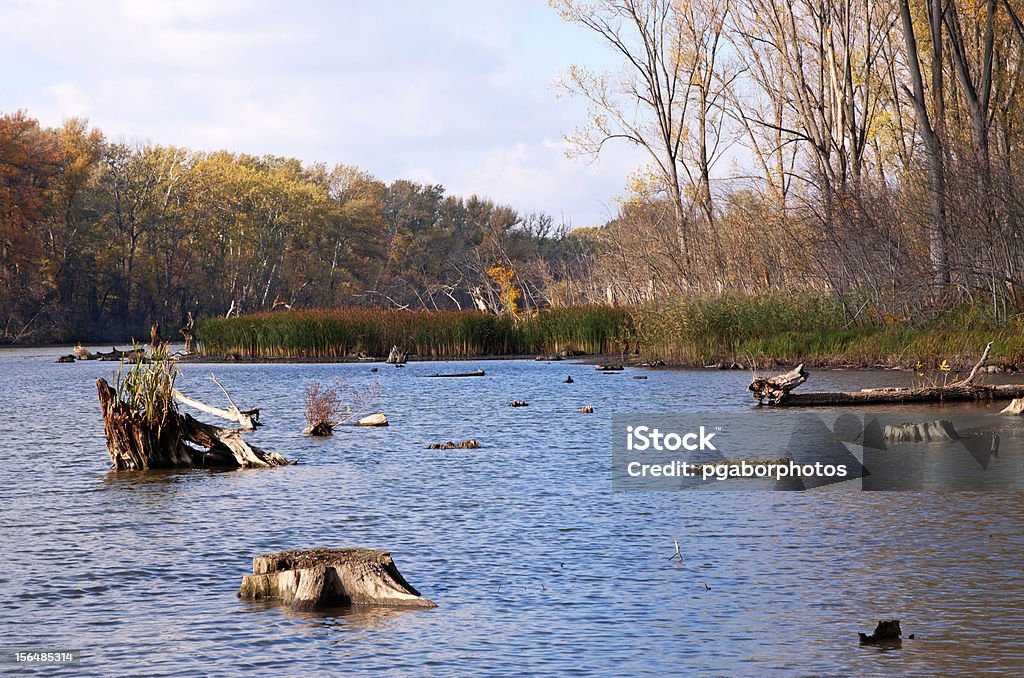 Altwasser am Fluß Theiß gegeben im Herbst, Ungarn - Lizenzfrei Blau Stock-Foto