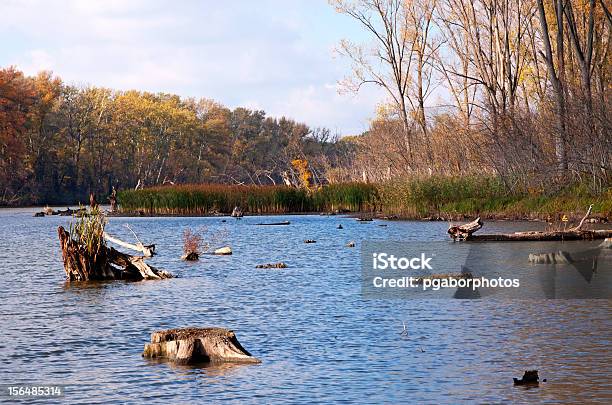 Altwasser Am Fluß Theiß Gegeben Im Herbst Ungarn Stockfoto und mehr Bilder von Blau - Blau, Fotografie, Grün