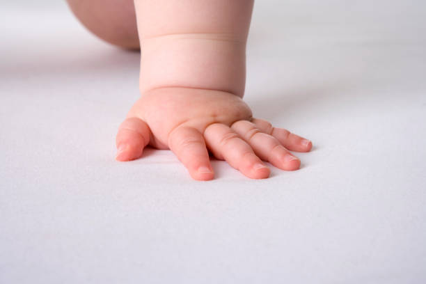 istock Chubby baby hand close up on white background 1564857158