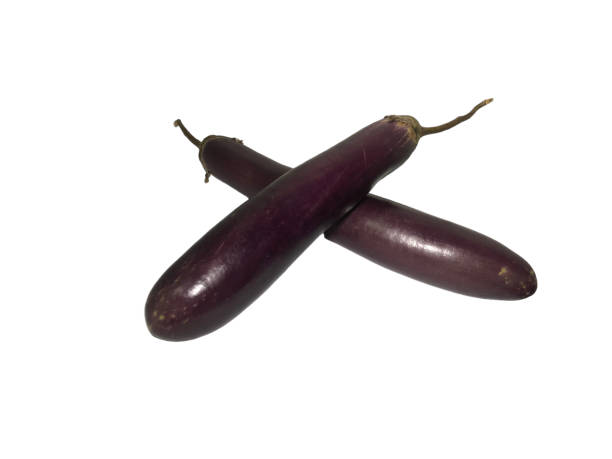 istock Terong ungu or Purple eggplant on a white background 1564858775