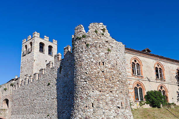 istock Castle of Desenzano, Lake Garda 156488124