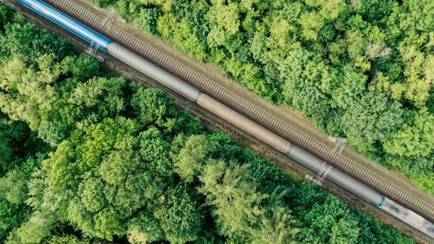 istock train on tracks going through a lush green forest with its tracks on the other side 1564896199