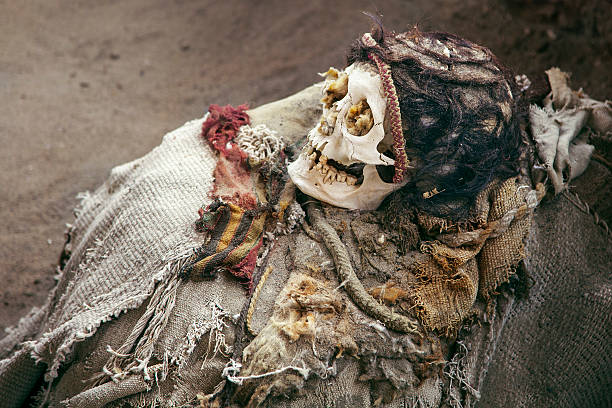 Ancient Mummy in the Cemetery of Chauchilla Chauchilla Cemetery is a necropolis that contains prehispanic mummified human remains and archeological artifacts, located thirty kilometers south of the city of Nazca in Peru. mummified stock pictures, royalty-free photos & images