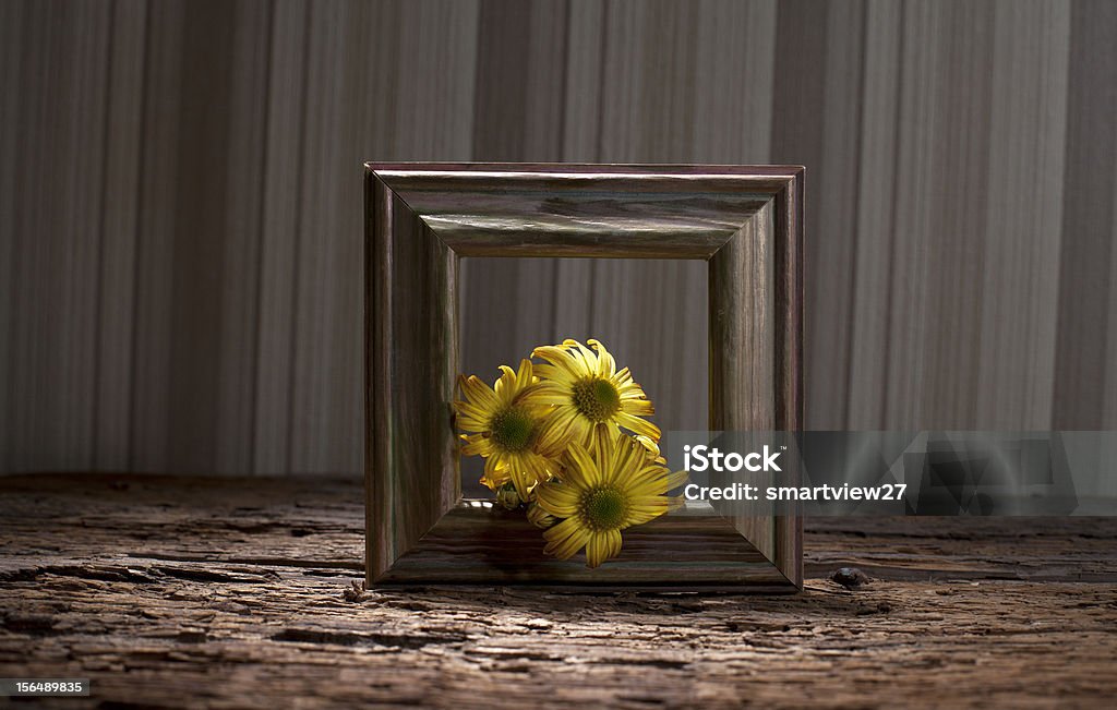 Fiori gialli - Foto stock royalty-free di Autunno