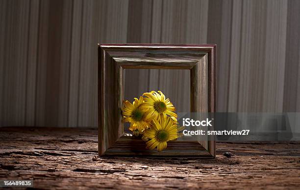 노란색 꽃 0명에 대한 스톡 사진 및 기타 이미지 - 0명, DIY, 가을