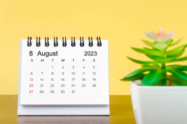 The August 2023 Monthly desk calendar for 2023 year with small plant on yellew background. stock photo