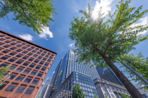 istock Beautiful blue sky and city buildings 1564907553