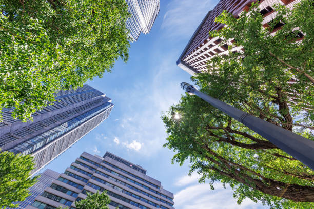 istock Beautiful blue sky and city buildings 1564911265