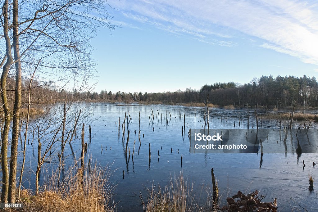 Замерзшее озеро - Стоковые фото Без людей роялти-фри