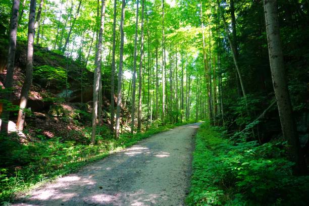 istock 202107 Ohiopyle SP PA 1564930764