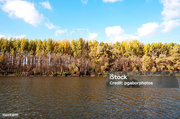 Photo libre de droit de Forêt Dautomne Dans La Rivière banque d'images et plus d'images libres de droit de Arbre - Arbre, Automne, Bleu