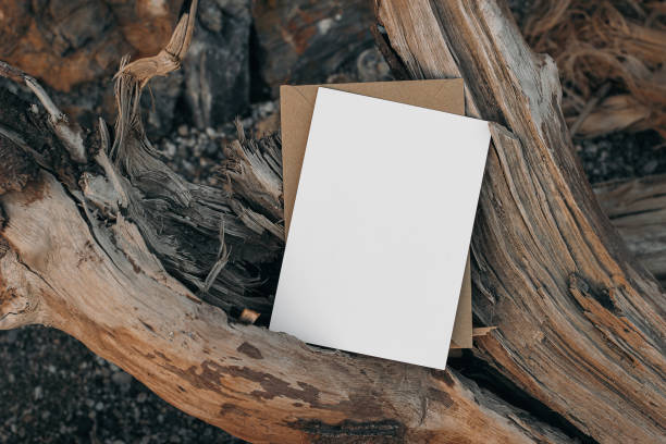 Summer, seashore blank greeting card mock up with craft envelope and drift wood. Paper invitation, stationery on pebbles beach. Old wood over gravel, blurred sand background. Flat lay top view.