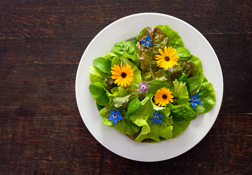 Vegetable salad with wild edible flowers on the plate. Lettuce, borage and calendula flowers