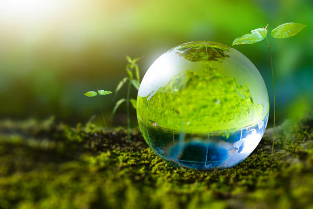 istock Natural environment and carbon neutral concepts in hand for net zero emissions targets. Weather-neutral long-term strategy Target Cloud in Green Net Zero 1564974519