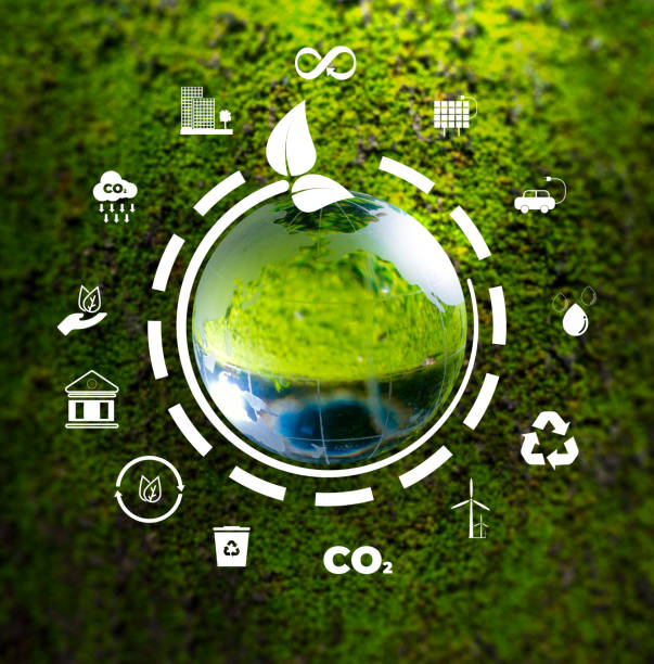 istock Natural environment and carbon neutral concepts in hand for net zero emissions targets. Weather-neutral long-term strategy Target Cloud in Green Net Zero 1564974520
