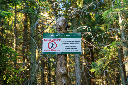 Zawoja, Lesser Poland, Poland - 11 July 2023: State Forests placard on tourist trail marking the prohibition of entry to post-disaster mountain spruce stands damaged by snowfall, wind and insect pests