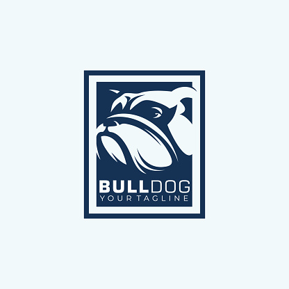 Squared Bulldog   Design Vector Illustration Template Idea