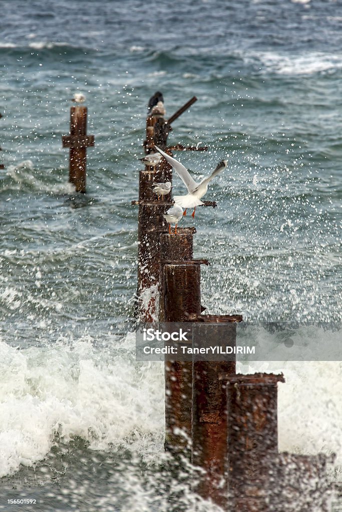 pier en el agua - Foto de stock de Agua libre de derechos