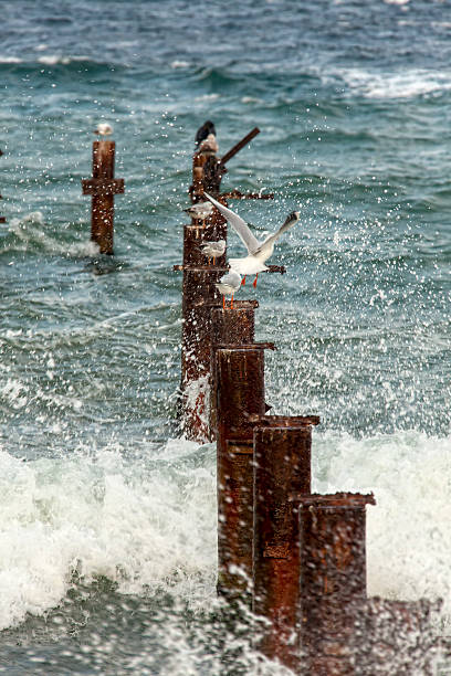 pier en el agua - foto de stock