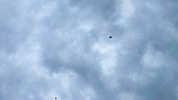 istock Dark rainy clouds in the sky 1565025799