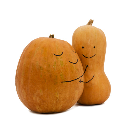 Two pumpkins in love on white background