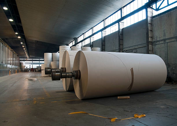 istock Paper and pulp mill plant 156503008