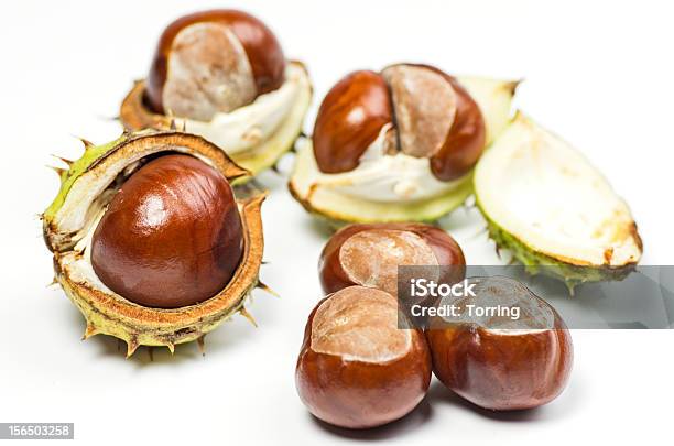 Chestnuts — стоковые фотографии и другие картинки Без людей - Без людей, Белый, Блестящий