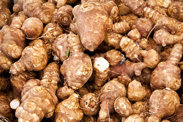 alcachofra de jerusalém - artichoke vegetable macro close up imagens e fotografias de stock