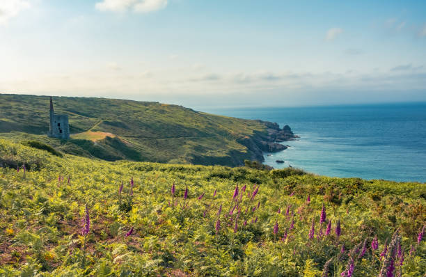 istock Southwest coast path Helston Rinsey cove 1565085618