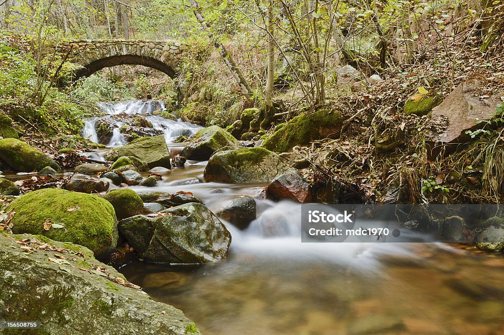 Cascade dans la forêt. - Photo de Arbre libre de droits