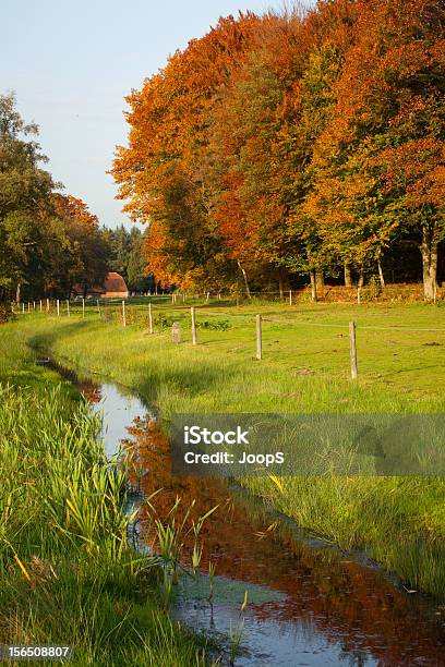 Autumn Colors Stock Photo - Download Image Now - Autumn, Benelux, Branch - Plant Part