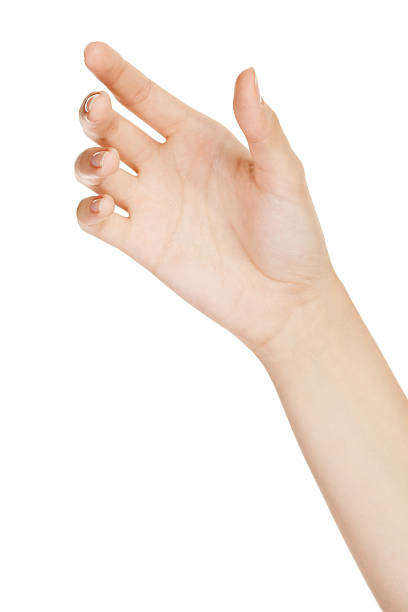 istock Beautiful woman hand holding isolated on white background 156508880