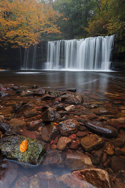 istock Seasons Change in Brecon Beacons, Wales 156508928