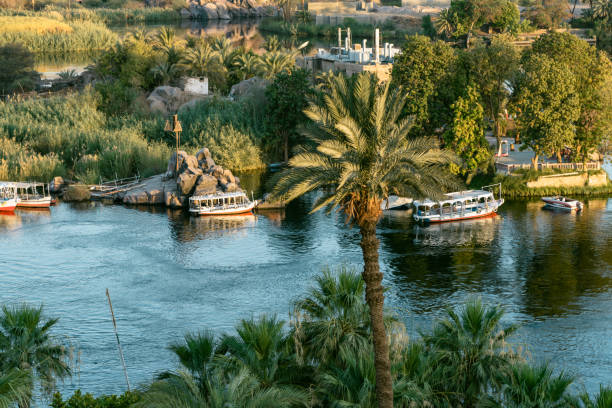 istock The River Nile in Aswan,Egypt 1565090718