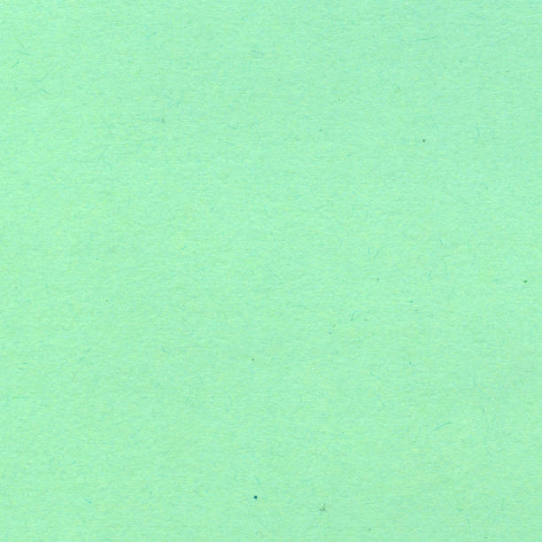 istock Light Green Fiber Paper XXXXL 156509079
