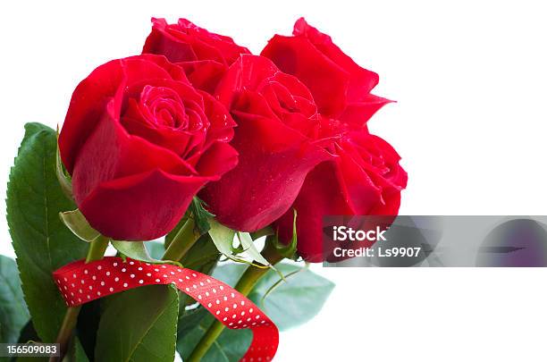 붉은 장미 꽃다발 0명에 대한 스톡 사진 및 기타 이미지 - 0명, 꽃-식물, 꽃잎
