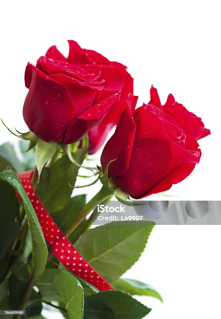 Bouquet di rose rosse - Foto stock royalty-free di Bellezza naturale