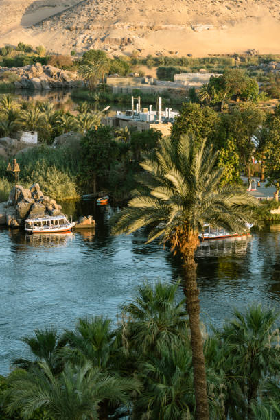 istock The River Nile in Aswan,Egypt 1565092329