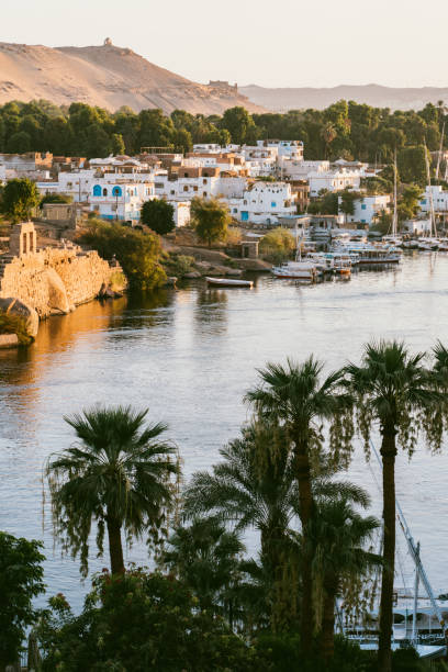 istock The River Nile in Aswan,Egypt 1565092331