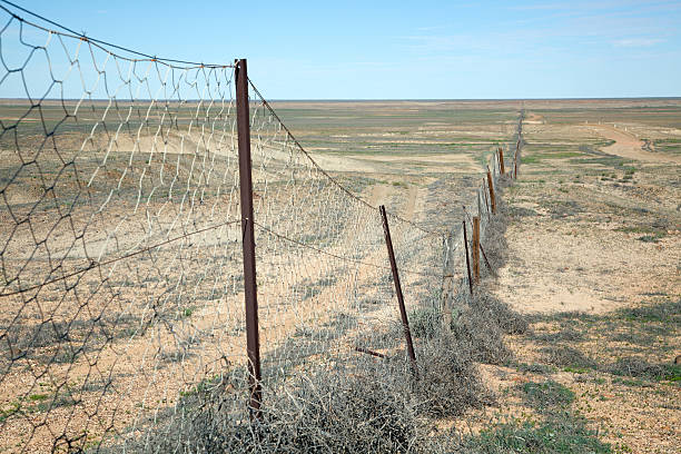 istock The Dog Fence 156509235