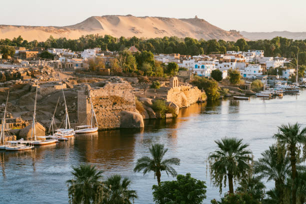 el río nilo en asuán, egipto - felucca boat fotografías e imágenes de stock