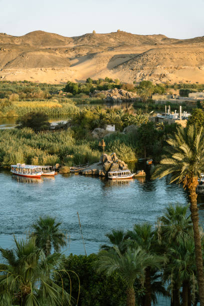 istock The River Nile in Aswan,Egypt 1565093424