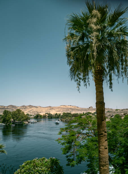 istock The River Nile in Aswan,Egypt 1565093997