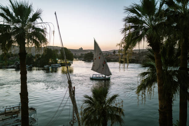 istock The River Nile in Aswan,Egypt 1565094538