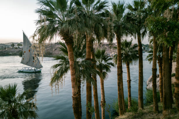 The River Nile in Aswan,Egypt