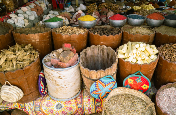 istock Nubian Village in Aswan,Egypt 1565096718