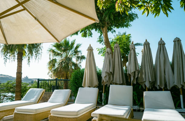 istock Tanning beds beside swimming pool in luxury hotel 1565106827