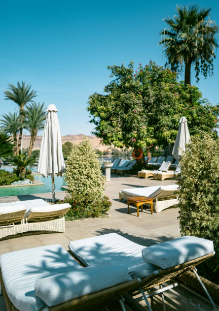 istock Tanning beds beside swimming pool in luxury hotel 1565106841
