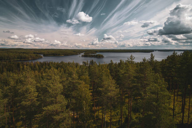 istock Landscape from Repovesi National Park 1565109104