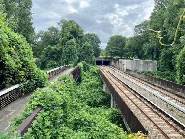 istock Atlanta Beltline in Georgia 1565112788